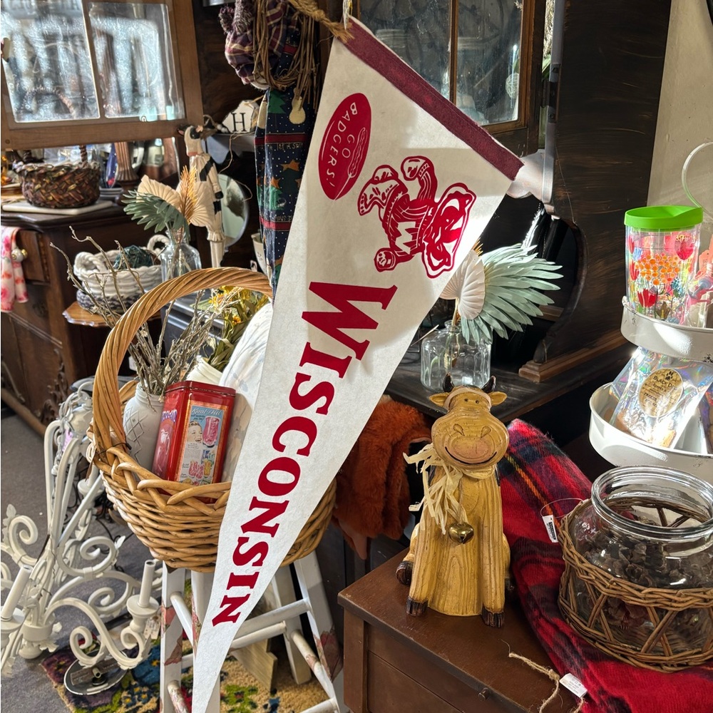 Wisconsin Party Pennant - Red and White